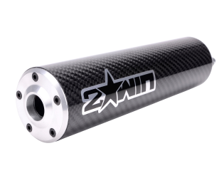 Silenciador de escape 2WIN Prodigy Carbone / Alu