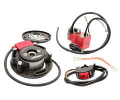 Allumage 2WIN Switcher Digital V2 AM6 / Derbi Euro 2 / 3 / 4 / GPR